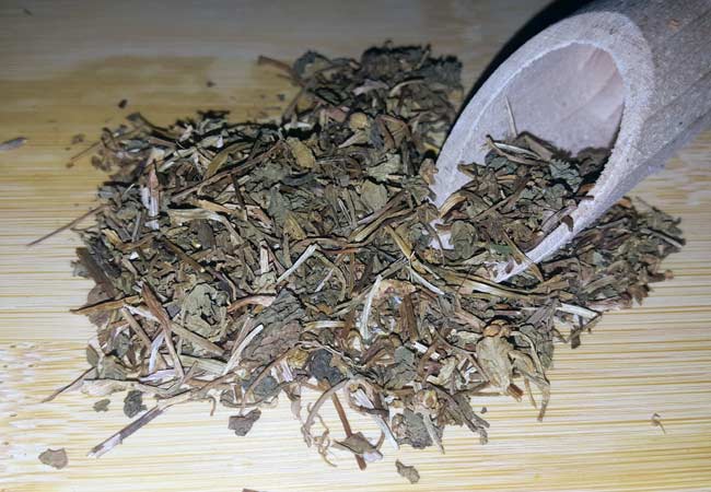 Gotu Kola als Arzneidroge