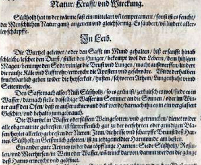 Süssholz im mittelalterliches Kräuterbuch