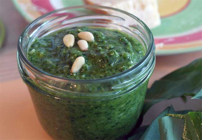 Selbst gemachtes Bärlauchpesto