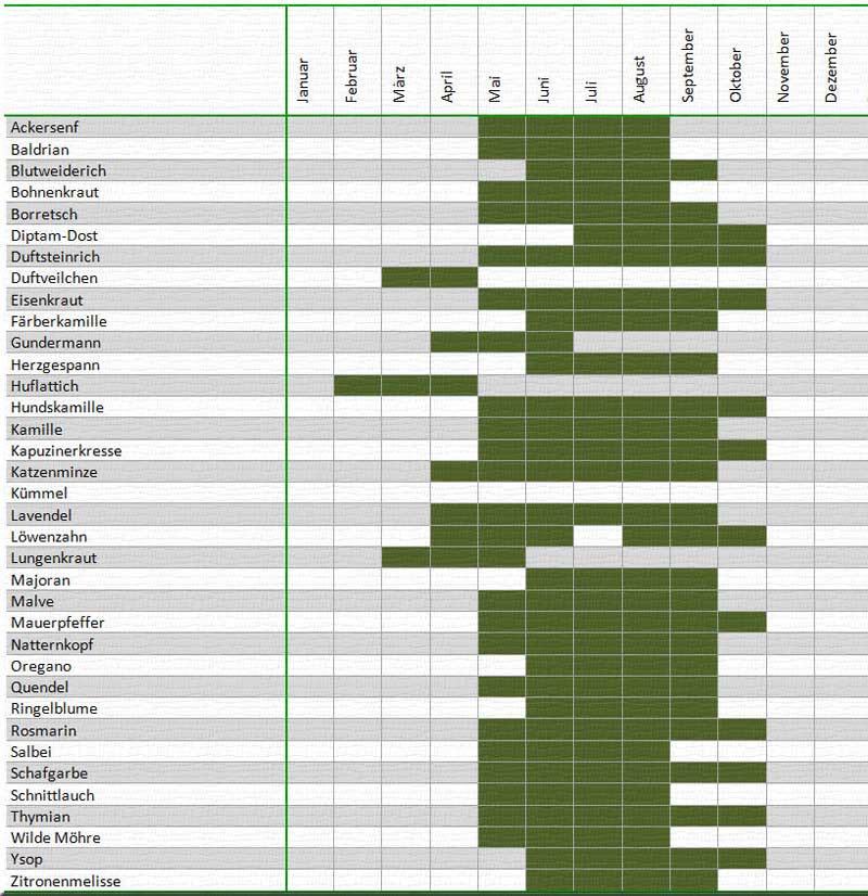 Blühkalender Wildkräuter