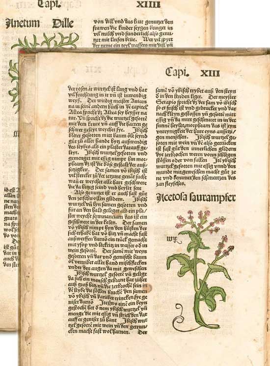 Bedeutende Kräuterbücher im Mittelalter