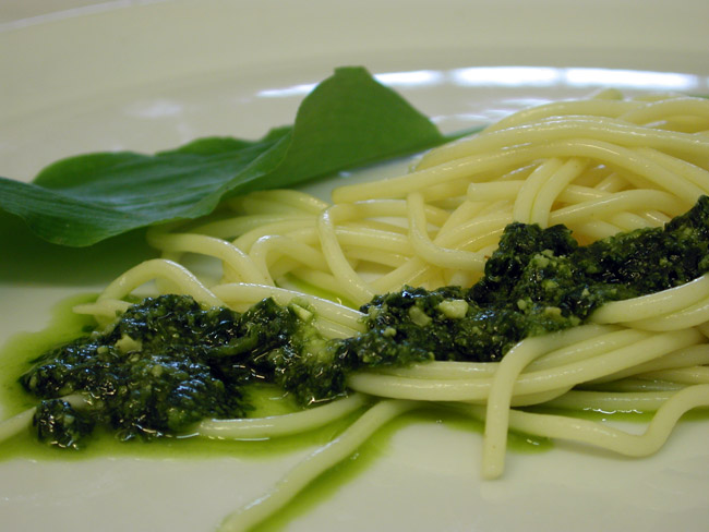 Schmackhaftes Kräuterpesto zum selber machen