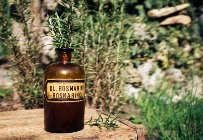 Rosmarinöl - Diese Öle gibt es