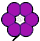 Blütenfarbe violett