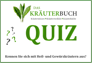 Kräuterquiz spielen