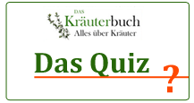 Kräuterquiz - Testen Sie Ihr Wissen zu Gewürz- und Heilkräutern